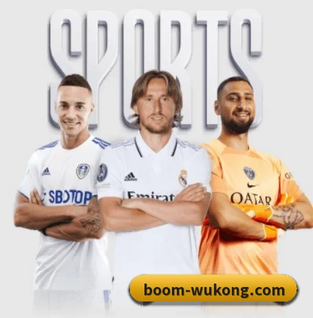 我们在做什么（WukongSports）
